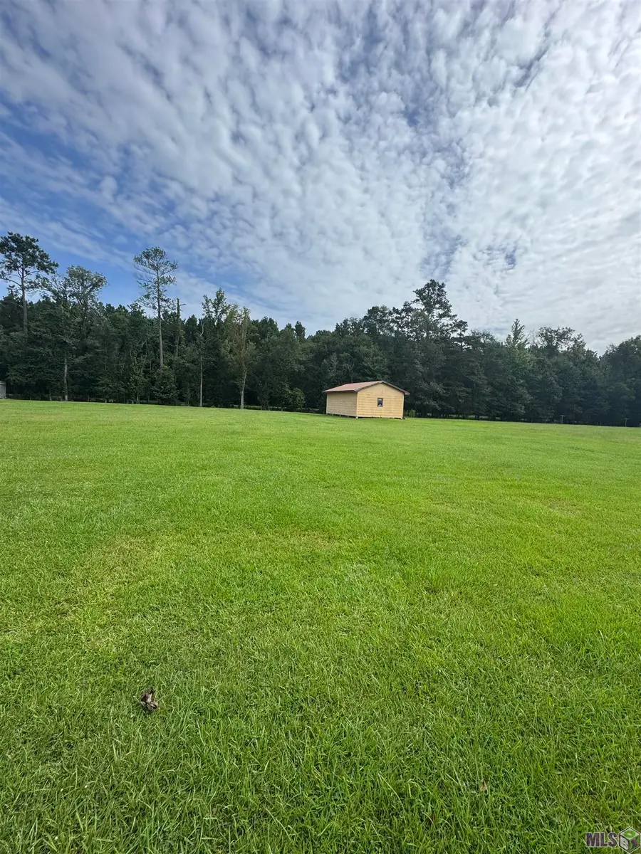 10605 Carol Lynn Rd, Denham Springs, LA 70726 - #3