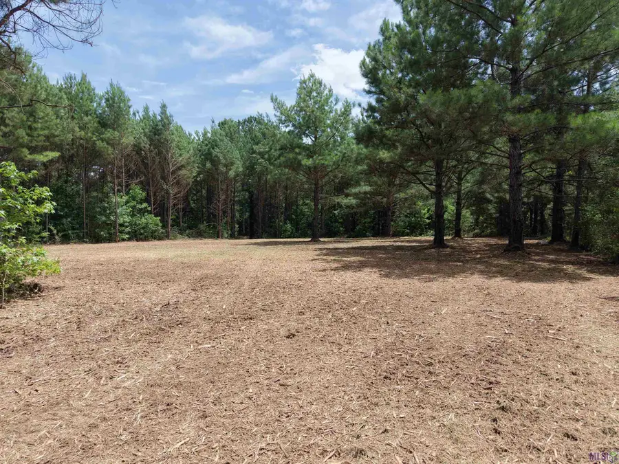 Tract C Jackson Rd, Kentwood, LA 70444 - #3