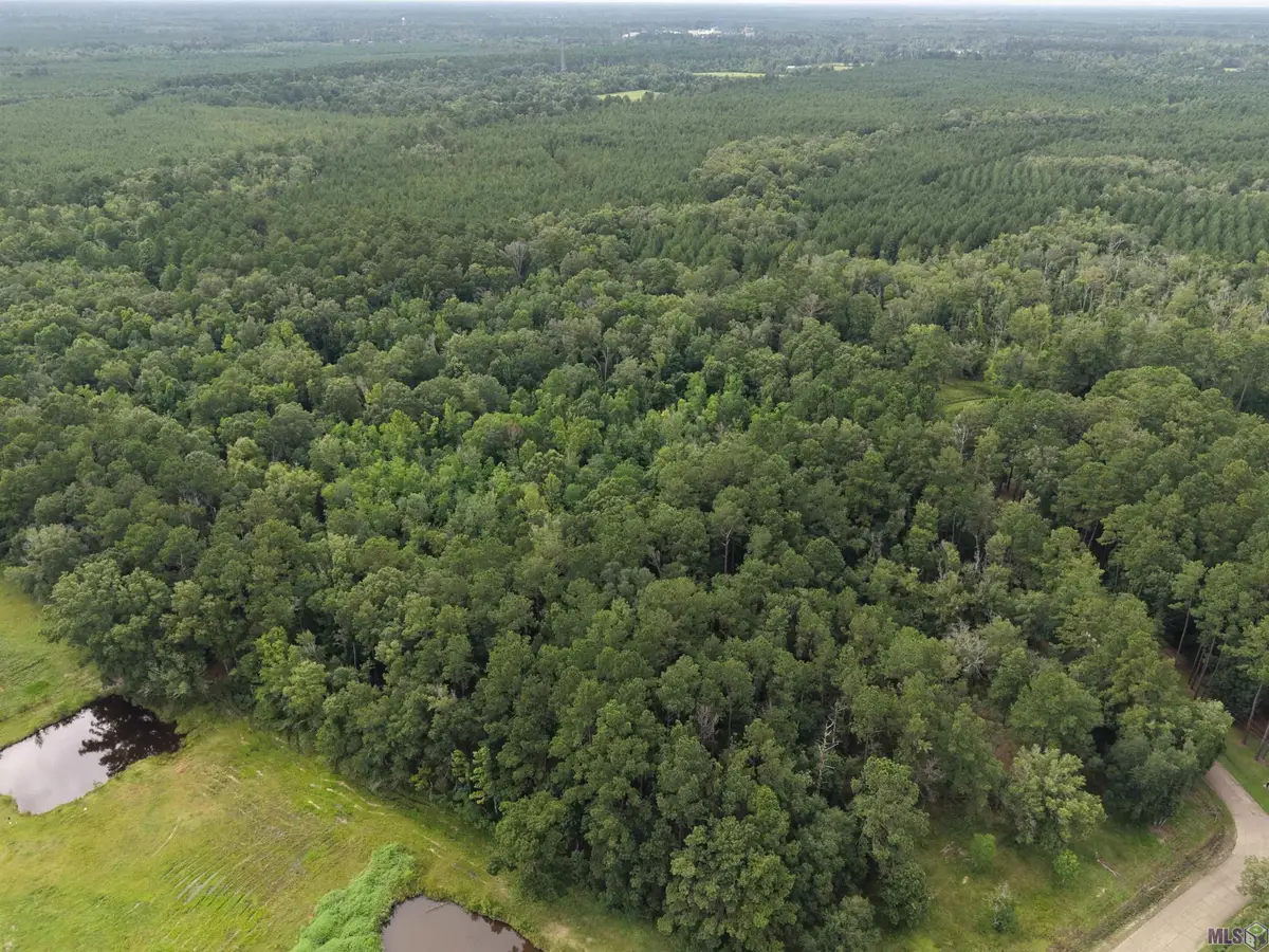 28545 Coker Vail Rd, Holden, LA 70744 - #1