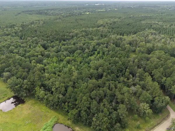 28545 Coker Vail Rd, Holden, LA 70744