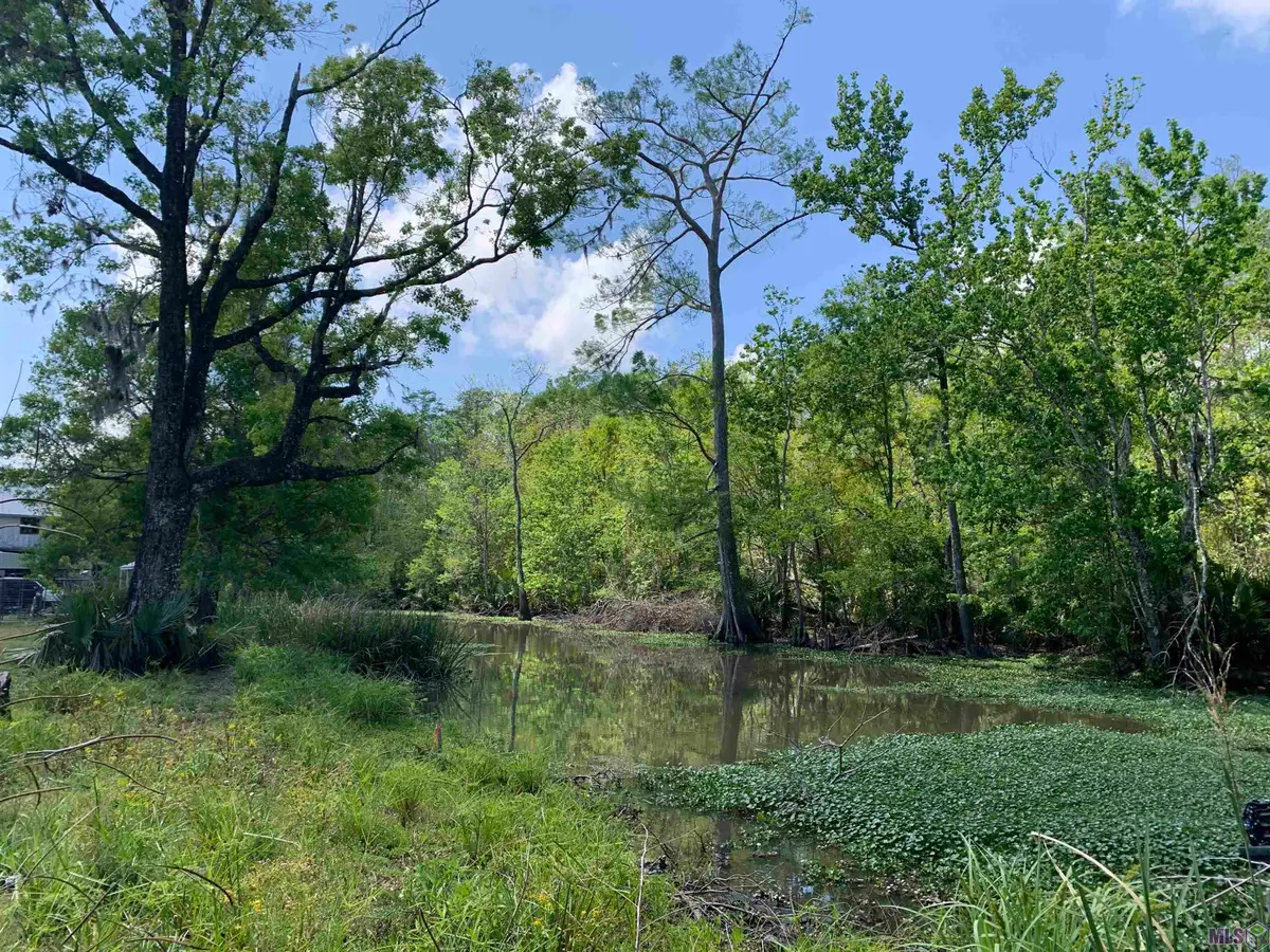 Lots 57 & 58 Petite Dr, Maurepas, LA 70449 - #1