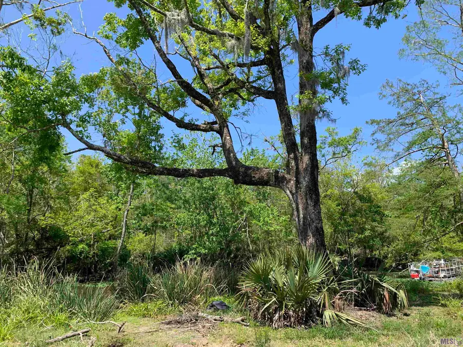Lots 57 & 58 Petite Dr, Maurepas, LA 70449 - #2