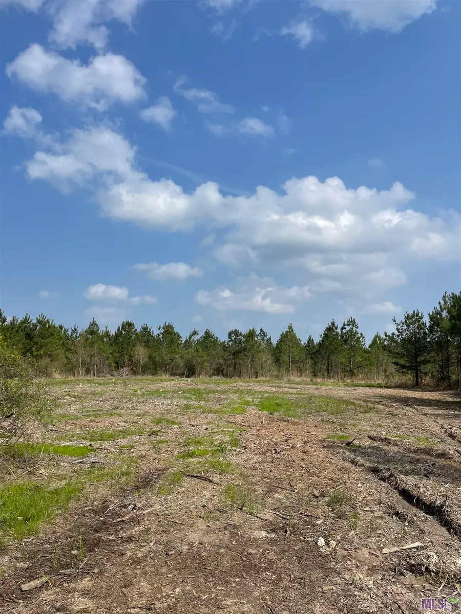 Tract 9 Lorin Wall Rd, Holden, LA 70744 - #2