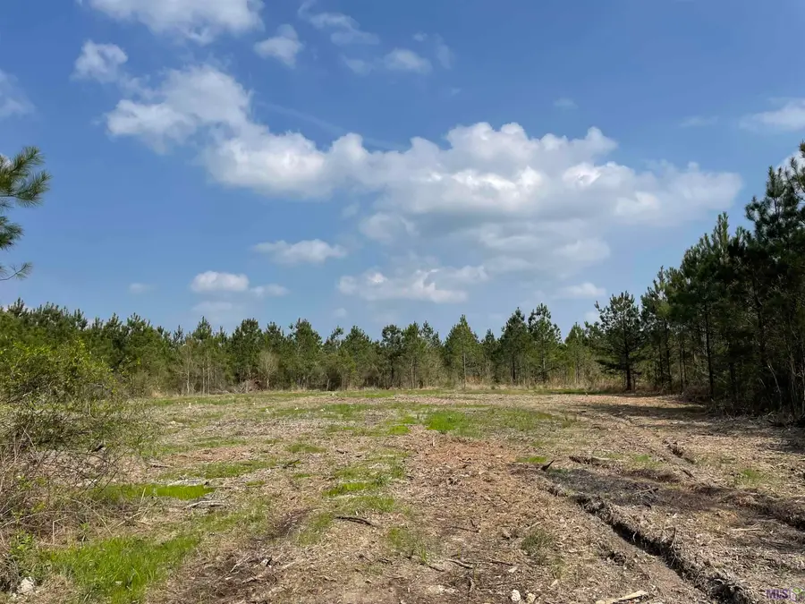 Tract 9 Lorin Wall Rd, Holden, LA 70744 - #3