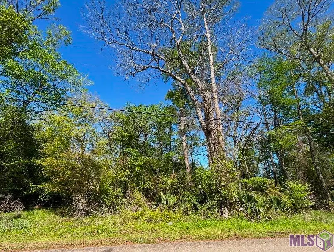 Lot 23 & 24 La Trace Rd, Livingston, LA 70754 - #1