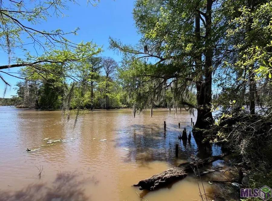 Lot 23 & 24 La Trace Rd, Livingston, LA 70754 - #2