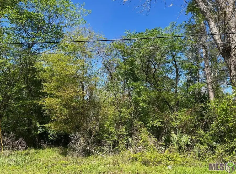 Lot 23 & 24 La Trace Rd, Livingston, LA 70754 - #3