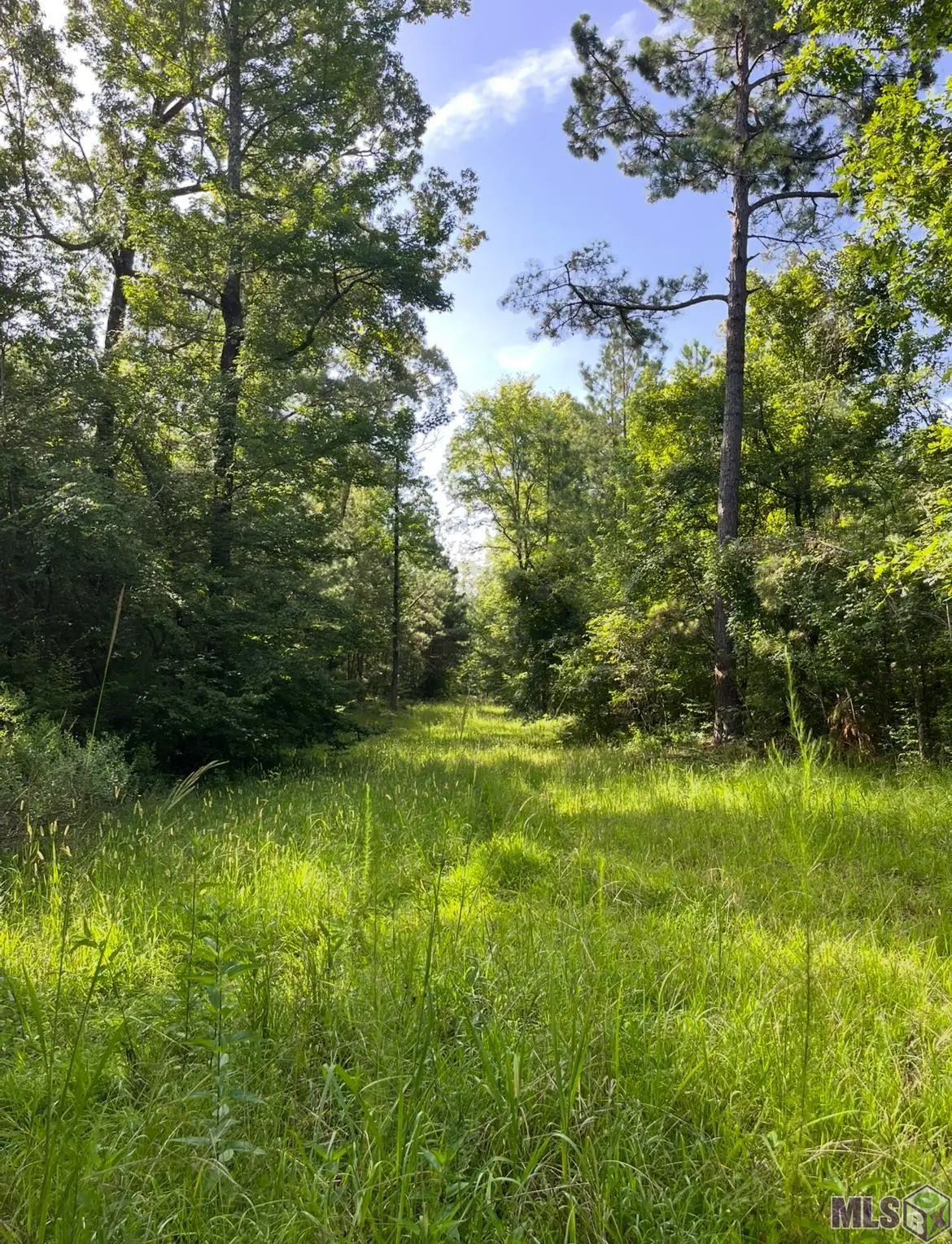 Paul Gallows Road, Other, MS 39086 - #1