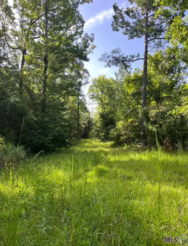 Paul Gallows Road, Other, MS 39086