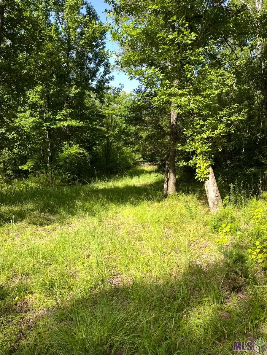 Paul Gallows Road, Other, MS 39086 - #2
