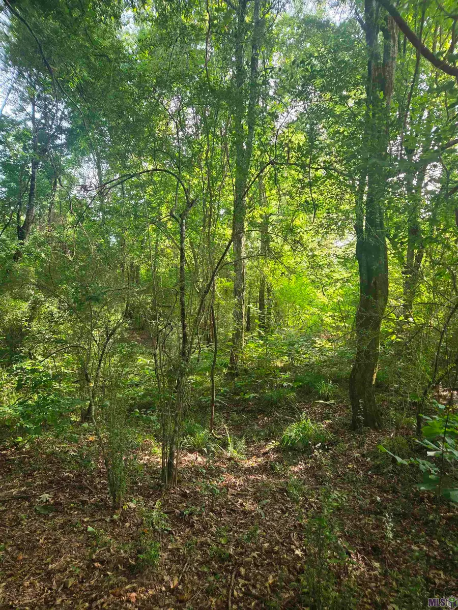 360 Perry Ct, Woodville, MS 39669 - #3