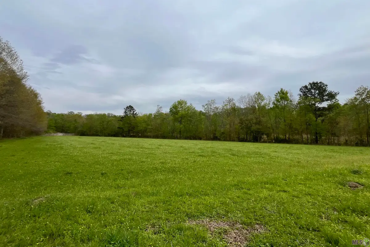 05 Hwy 22, Saint Amant, LA 70774 - #1