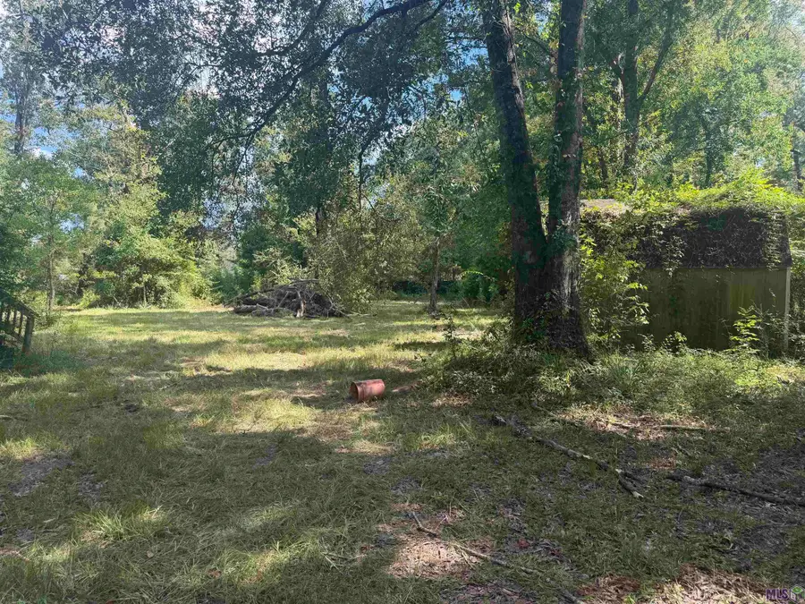 12050 Mockingbird Ln, Walker, LA 70785 - #2