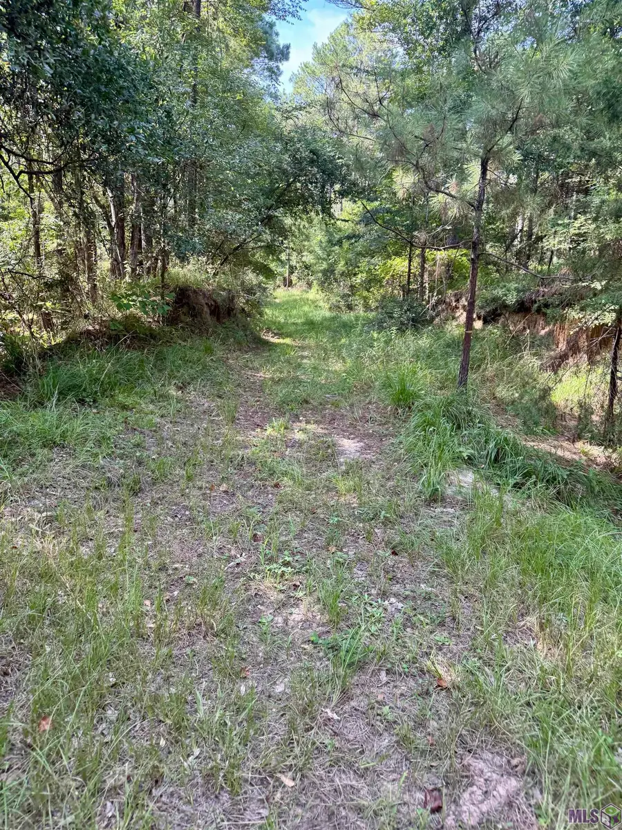 0 Vine Hollow, Woodville, MS 39669 - #2