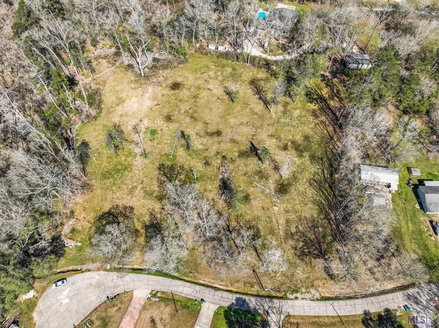 6979 Chandler Bluff Rd, Denham Springs, LA 70706 - #2