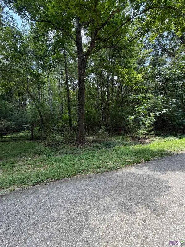Jones Vaughn Creek Rd, St. Francisville, LA 70775