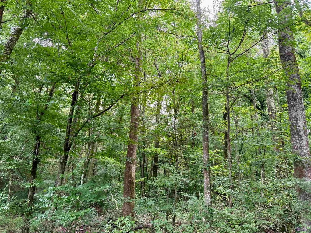 2194 Ms Hwy 570, Summit, MS 39666 - #1