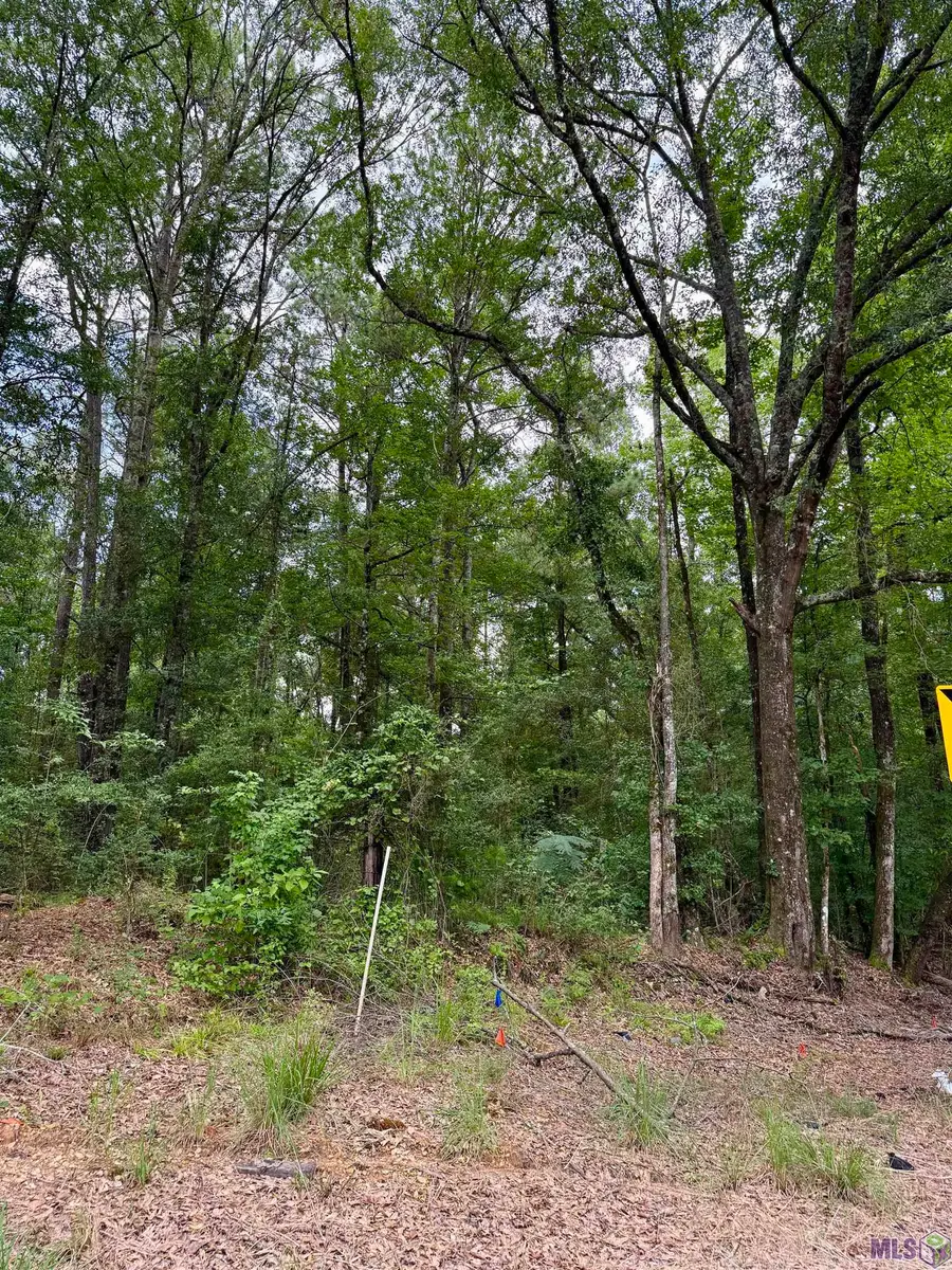 2194 Ms Hwy 570, Summit, MS 39666 - #2