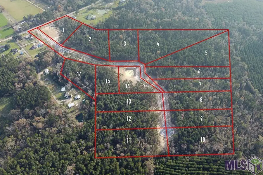 18487 Settlement Trace, Livingston, LA 70754 - #2