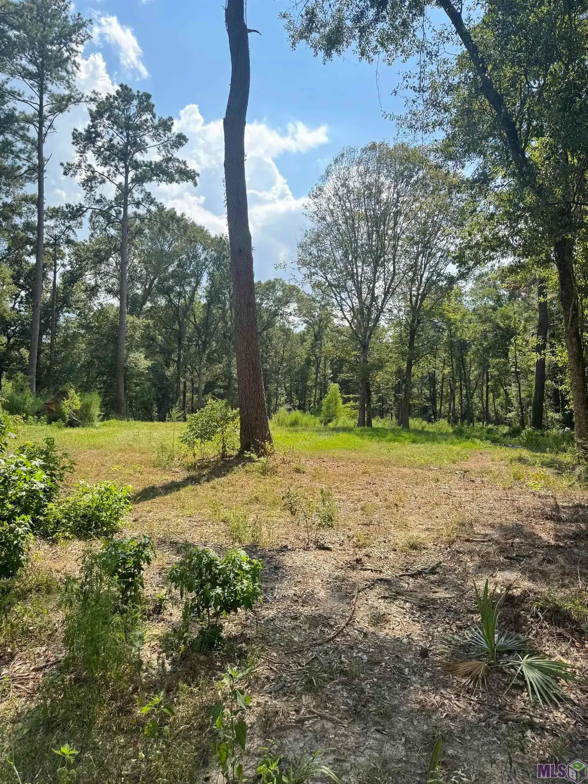 22863 Green Acres Blvd, Denham Springs, LA 70726 - #1