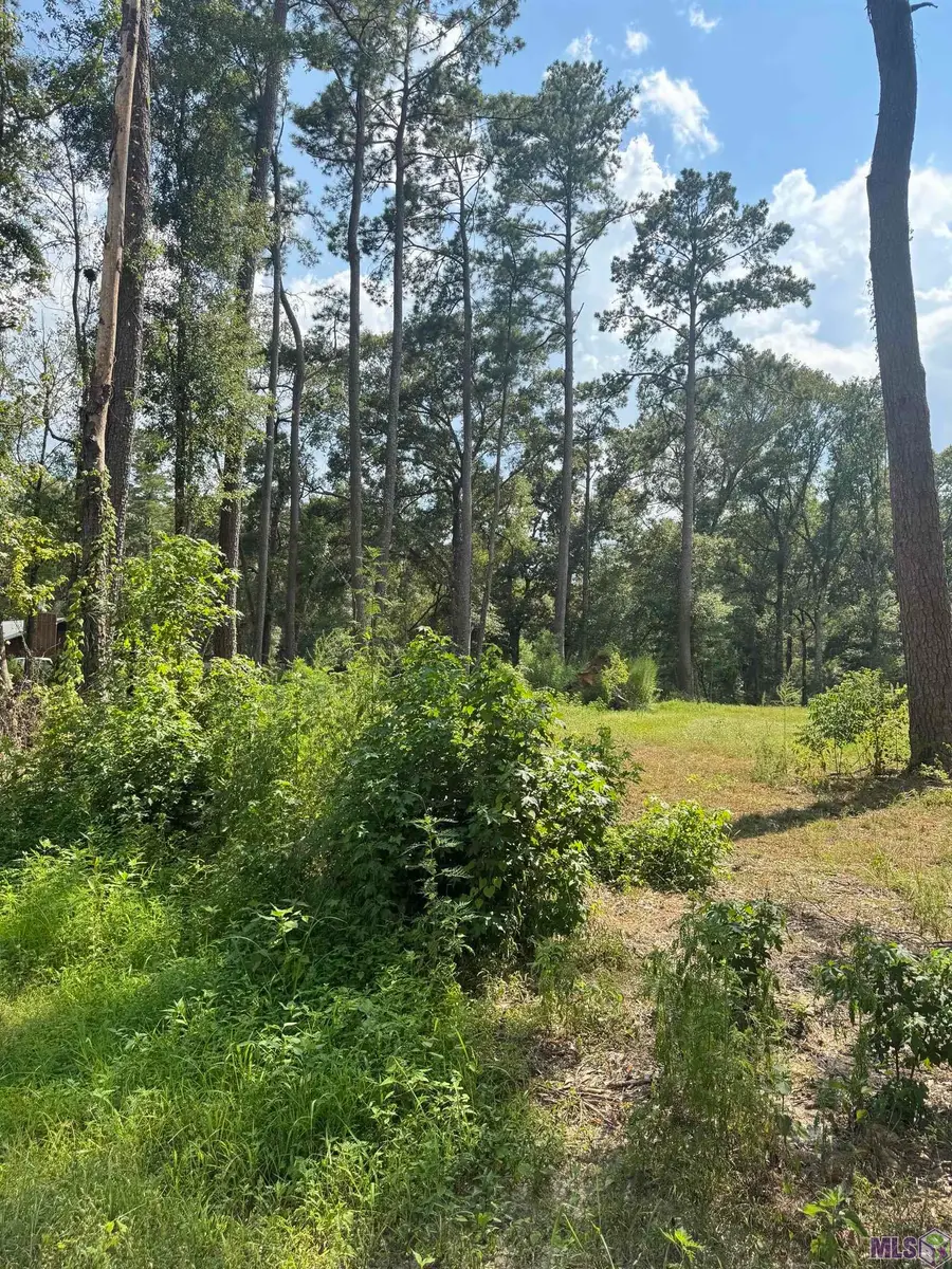 22863 Green Acres Blvd, Denham Springs, LA 70726 - #2