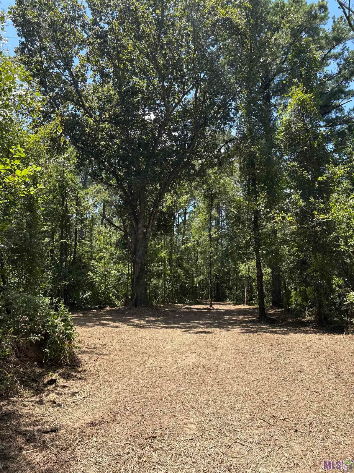38270 Walker North Rd, Walker, LA 70785 - #1