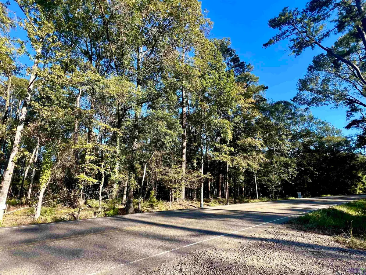 TBD Greenwell Springs Rd, Greenwell Springs, LA 70739 - #1
