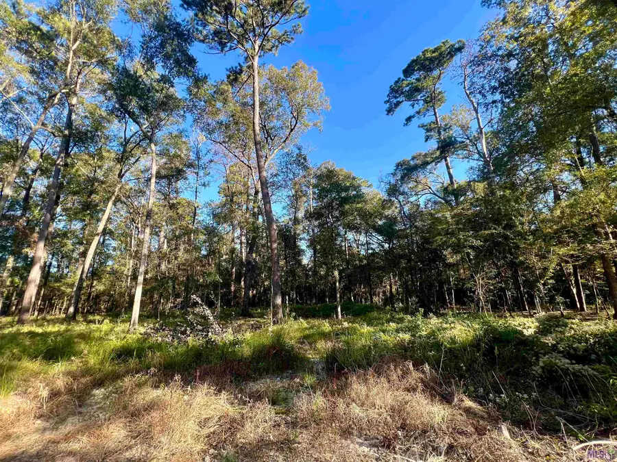 TBD Greenwell Springs Rd, Greenwell Springs, LA 70739 - #2