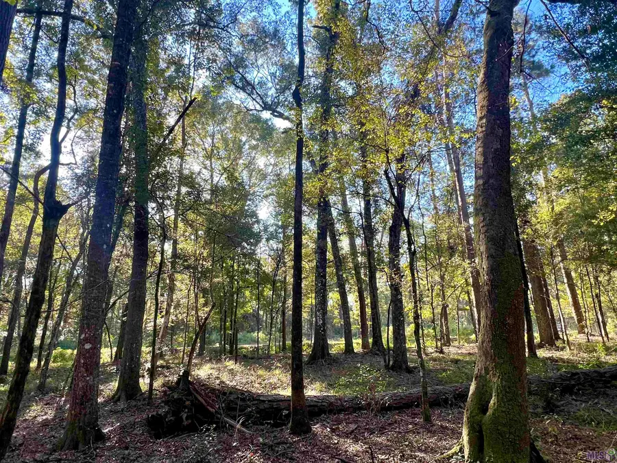 TBD Greenwell Springs Rd, Greenwell Springs, LA 70739 - #3