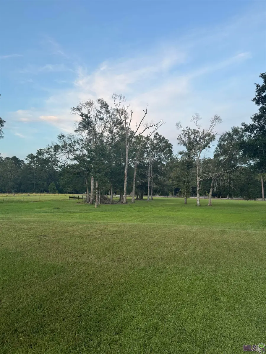 30431 Greenwell Springs Rd, Greenwell Springs, LA 70739 - #2