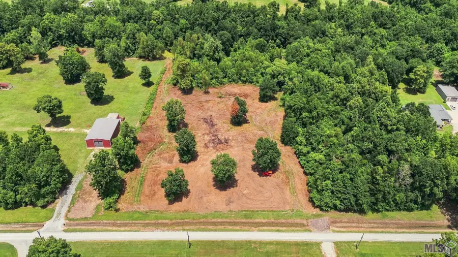 9805 Swanson Lane, Port Allen, LA 70767 - #2