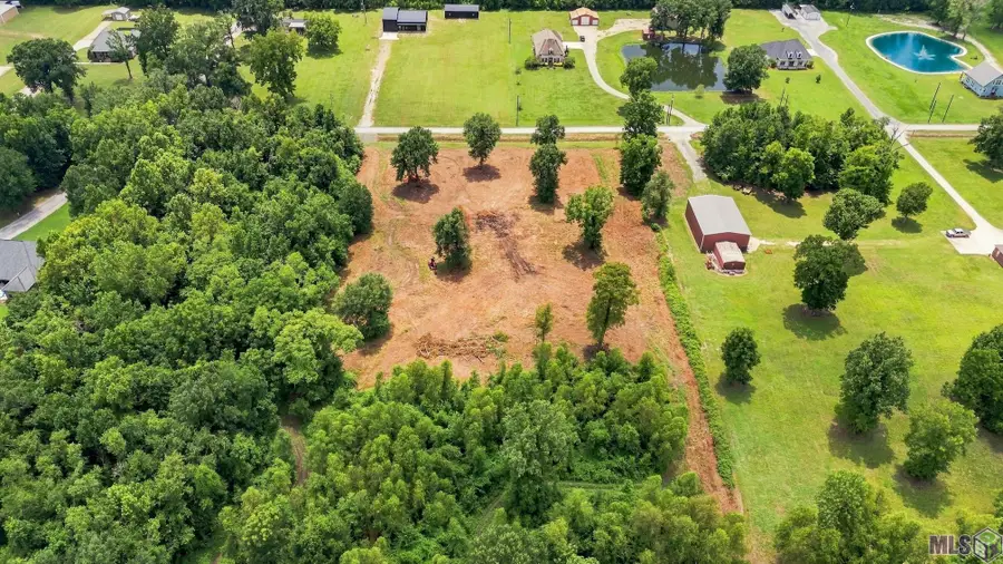 9805 Swanson Lane, Port Allen, LA 70767 - #3