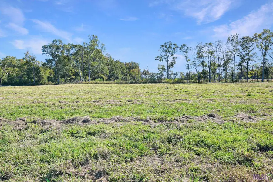 1251 Duncan Ave, Jackson, LA 70748 - #3