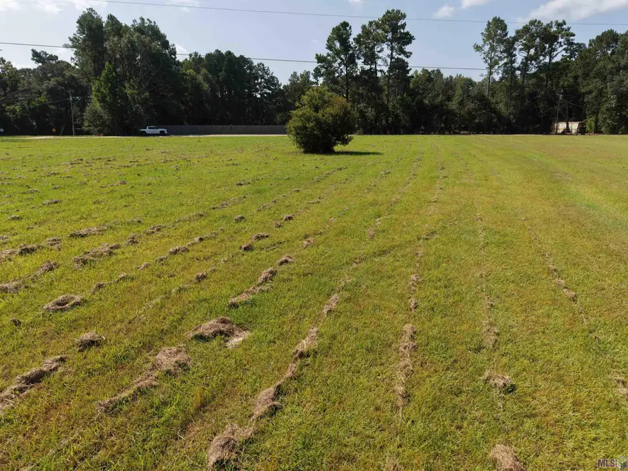 557 Carrier Rd, Pine Grove, LA 70453 - #2