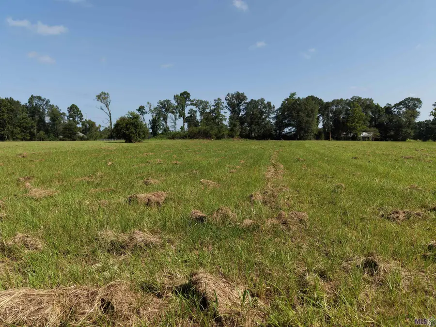 557 Carrier Rd, Pine Grove, LA 70453 - #3