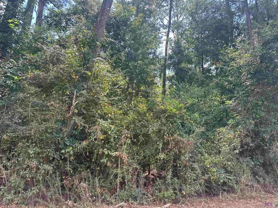 tbd W Fontana Rd, Independence, LA 70443 - #3