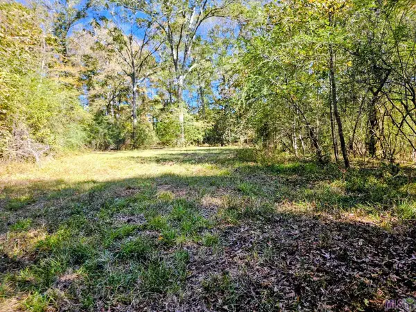 9887 Tunica Trace, St. Francisville, LA 70775