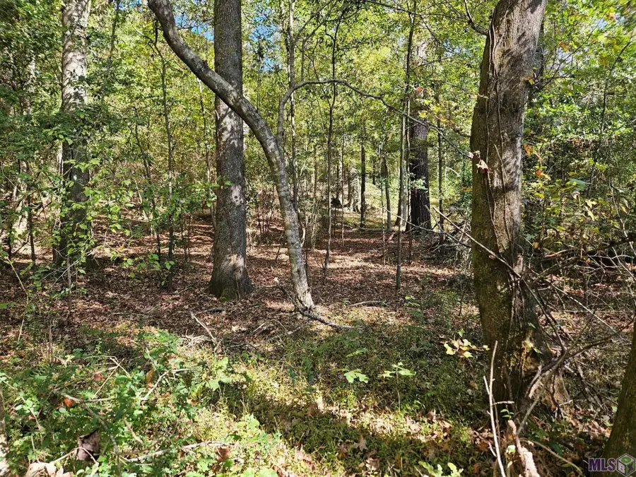 9887 Tunica Trace, Saint Francisville, LA 70775 - #3