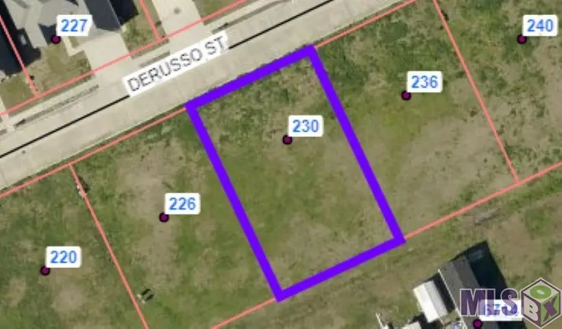 230 Derusso Street, Bayou Cane, LA 70364 - Image #2
