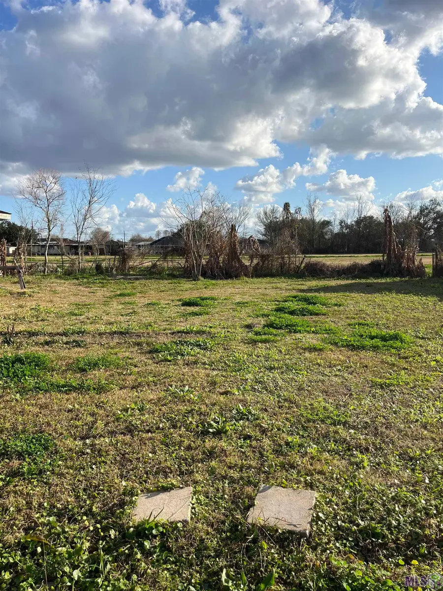 19451 Lemon St, Vacherie, LA 70090 - Image #3