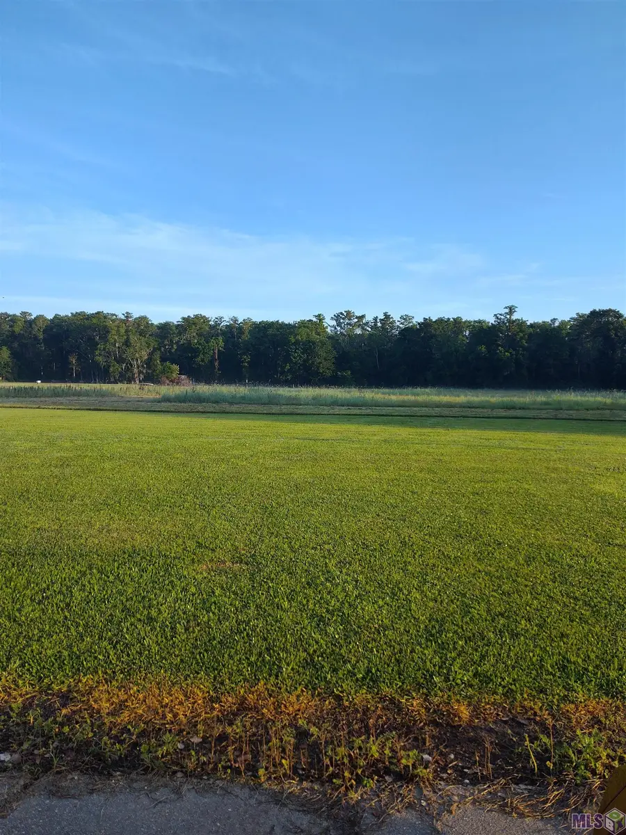 TBD Highway 20, Thibodaux, LA 70301 - Image #2