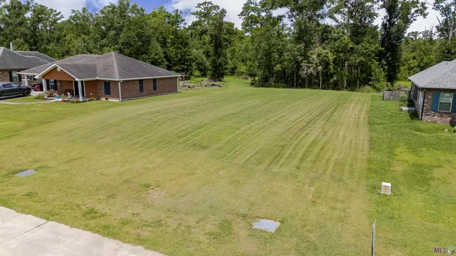 293 Ontario Street, Bayou Blue, LA 70364 - Image #3