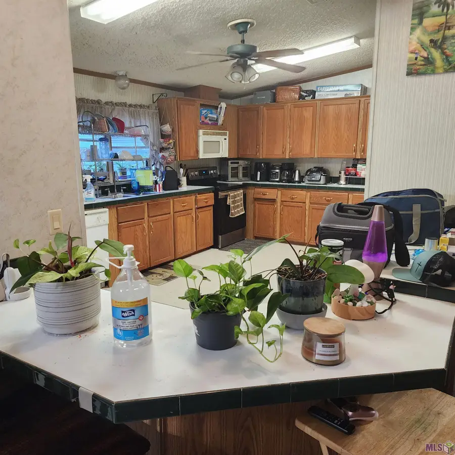 208 Swamp Dr, Bourg, LA 70343 - Image #2