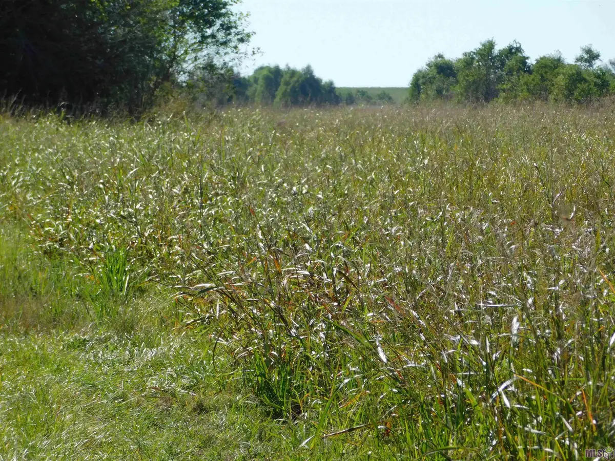 TBD Hwy 3235 Cut Off, Cut Off, LA 70345 - #1