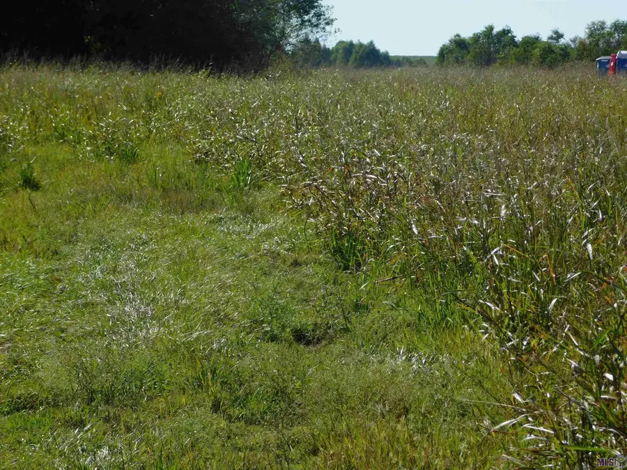 TBD Hwy 3235 Cut Off, Cut Off, LA 70345 - #2