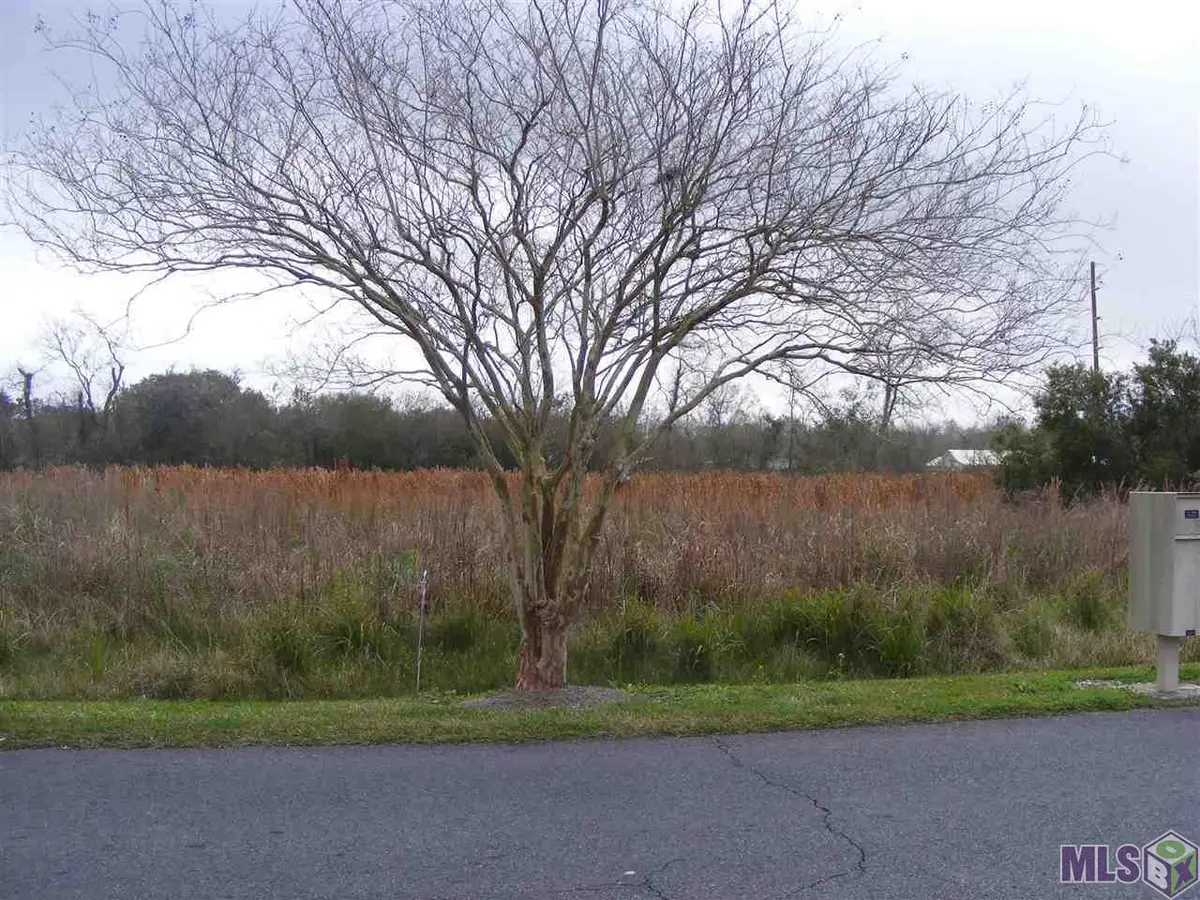 TBD-2 West 134th Place, Cut Off, LA 70345 - Image #1