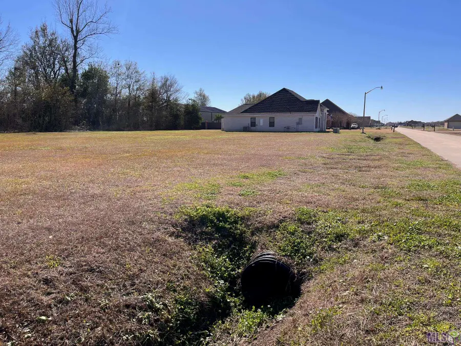 165 Le Belle Maison Drive, Raceland, LA 70394 - #3