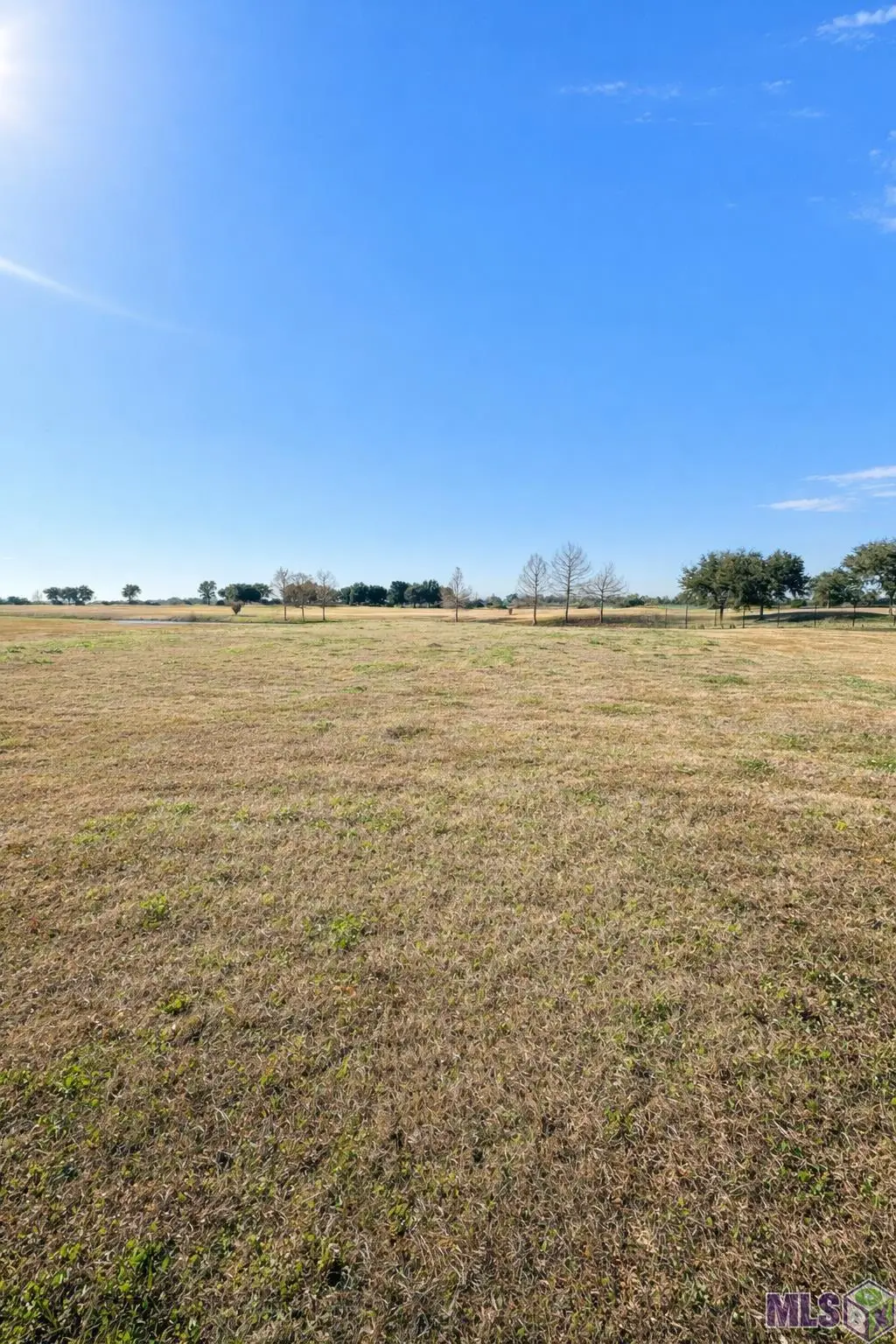 162 La Tour Boulevard, Mathews, LA 70375 - #1