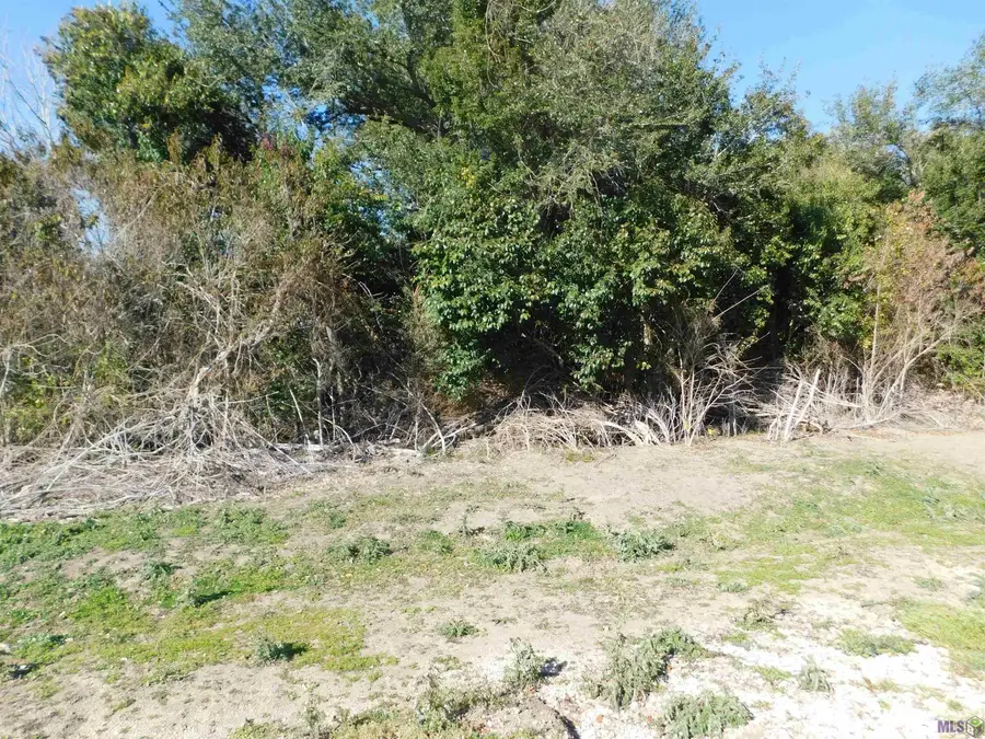 TBD East 140th Street, Galliano, LA 70354 - #3