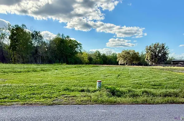 610 Bayou Dr, Pierre Part, LA 70339